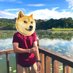 Wyan (@pxfsddavb4d7qgf) Twitter profile photo Wyan (@pxfsddavb4d7qgf) Twitter profile photo