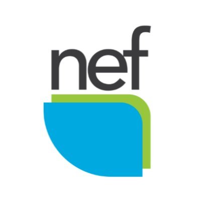 NEF fosters & enhances educational opportunities & academic excellence for all students by providing aspirational funding beyond the NPS District resources