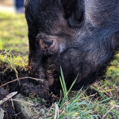 paula_ducker's profile picture. 