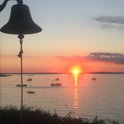 boston_annie54's profile picture. 