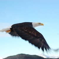 iowaguy316 (@dlveach07) 's Twitter Profile