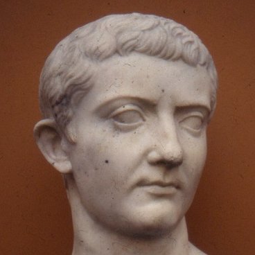 crittogracco's profile picture. 