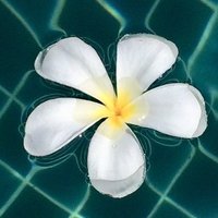 nezumama (@nezumama1) Twitter profile photo