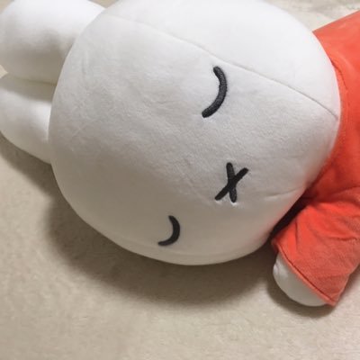 watagasi_aya's profile picture. English 🇺🇸🇯🇵