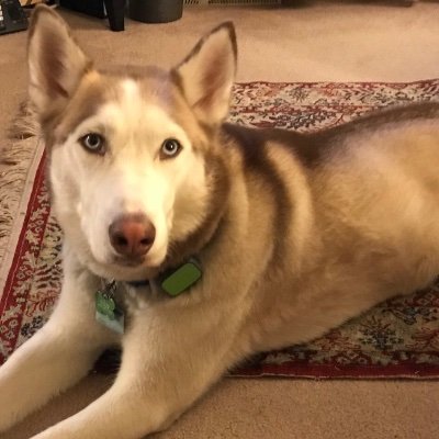 JeanieMcjean's profile picture. Mom , wife, retired