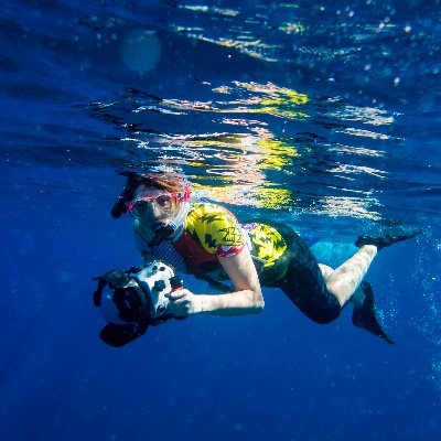 HSE Commercial SCUBA, MA in #WildlifeFilmmaking #UnderwaterFilm, #PfCOdrone, Transylvanian vampire having a human experience, We must rewild our planet 🌊
