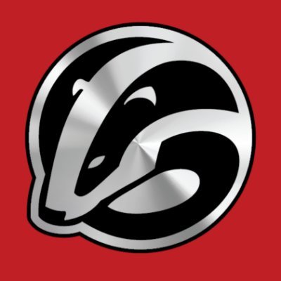 Badger1Service's profile picture. Badger Bob's Services is a full-service Air Conditioning, Appliance, Plumbing & Electrical Company servicing Sarasota, Manatee and Charlotte counties in FL.