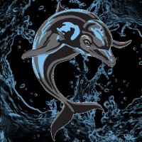 CSI Dolphins(@CSIDolphins) 's Twitter Profile Photo