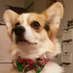 YesCorgi (@corgiyes) Twitter profile photo YesCorgi (@corgiyes) Twitter profile photo