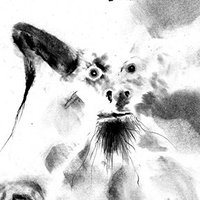 Abraxis (@hfs_abraxis) 's Twitter Profile