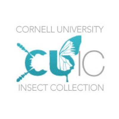 Cornell University Insect Collection Profile