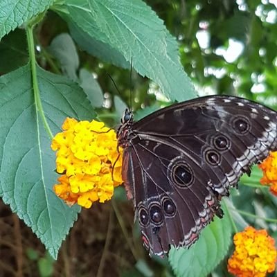 Dem1685's profile picture. live life like it's the last day