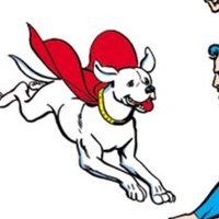 🐶Barb🐾🟦❤️🇺🇸✊🏻🗳️💙🪷 (@d8n_barb) 's Twitter Profile Photo