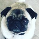 Lily Sims-martin - @LilySimsmartin1 - Twitter