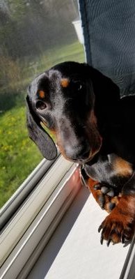 j_sapps's profile picture. 