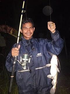 meikyoo84's profile picture. 