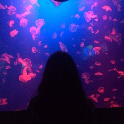 miriamaguilar's profile picture. Live and let live.
Proud feminist. Hemato🩸
💚💜