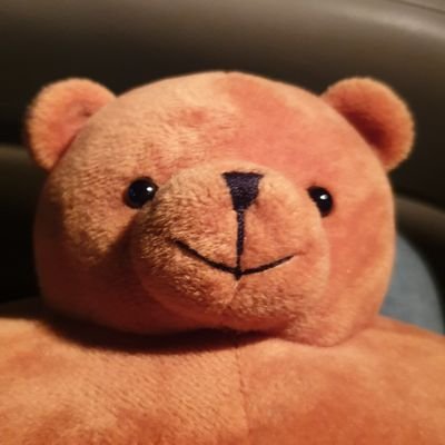 Mani_144's profile picture. Data scientist by day, game developer by night. Founder of @TDucksStudio