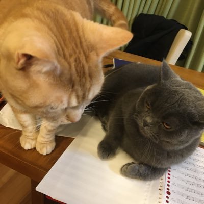 TFeffSwWWwog4vr's profile picture. 早く梅雨明けしないかな