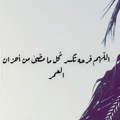 ((ام عمر))