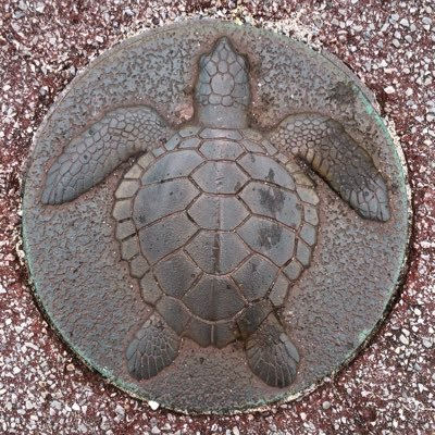 sheep2305gmail1's profile picture. 🤦🏽‍♂️