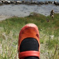 Lucy Corrander (@lucycorrander) 's Twitter Profile Photo Lucy Corrander (@lucycorrander) 's Twitter Profile Photo