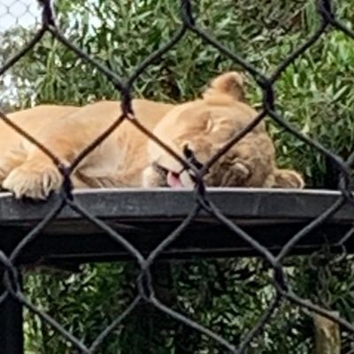 KenstarrSC's profile picture. im so gifited at finding what i dont like the most