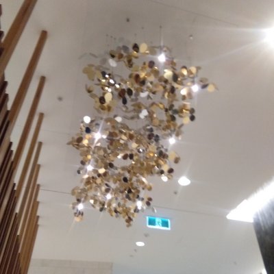 johncha78115413's profile picture. happy go lucky person