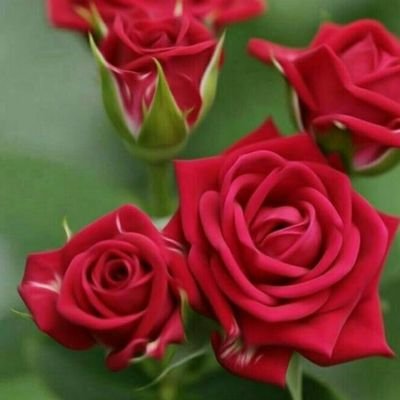 Kavitha20252794's profile picture. 