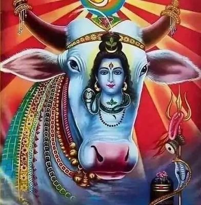 For the sake of protection and promotion of cows and its whole family -- Kanpur Gaushala Society established in 1988. It is one of the top NGOS in Kanpur, India