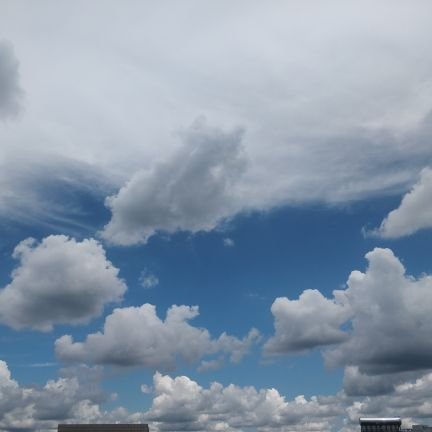 homuuuuuty's profile picture. 