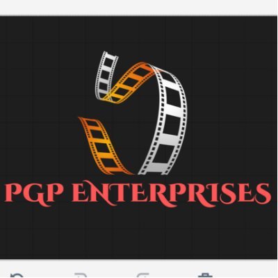 PGP ENTERPRISES Profile