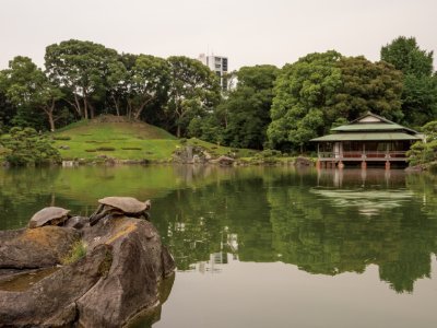 サークル"白河観測所"です。
C96以降、都立庭園の定点観測記兼ガイドブックを発行しています。
C103は新刊『都立庭園観測記 六義園』を頒布します。