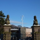 Frances Gilbert - @Thinkinggrl - Twitter