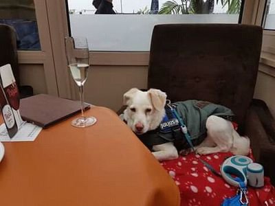 deck_ben's profile picture. en France