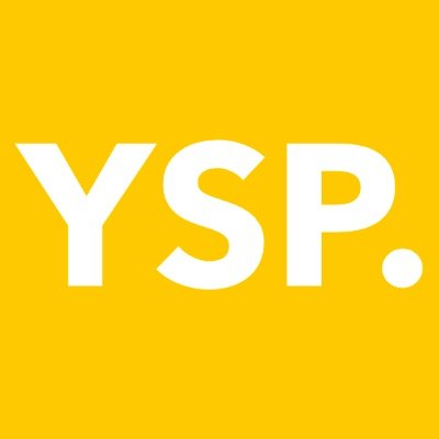 Young Somali Professionals (YSP) is a non-profit organisation with a focus on developing young professionals, students and creating new mentors.