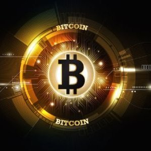 CryptoBeccas's profile picture. 