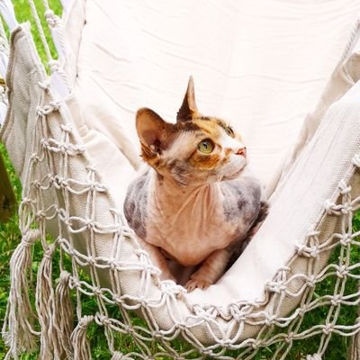 marieboland_'s profile picture. 