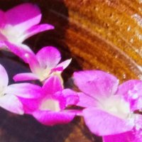 salon AMAN (@aman_salon) 's Twitter Profile