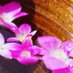 salon AMAN (@aman_salon) Twitter profile photo salon AMAN (@aman_salon) Twitter profile photo