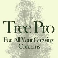 Tree Pro Ltd (@treeproltd) 's Twitter Profile