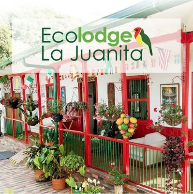 #Ecolodge, part of @Rutas_PCC with fog forest, natural #pool, #birding #birdwatch #spa and #camping