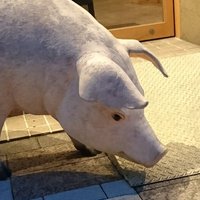 島崎 (@zakichel) 's Twitter Profile Photo