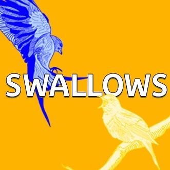 SWALLOWS - an environmental thriller by Henry Roberts

Part of BoxedIn's Greenhouse initiative this Edinburgh Fringe