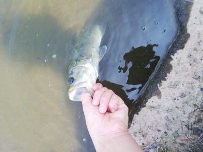 2KxMr3vbacJ4R41's profile picture. 荒野行動大好きです。誰か一緒にフレ追してやりましょー！