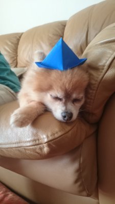 tommy319922700's profile picture. Web業界への転職を目指す植木屋歴10年の30代
プログラミングスクールDIVE INTO CODE
Webパートタイム2019-8月期生
GitHub : https://t.co/ucIn0MmLOt…