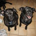 Vickie Rice - @vickierice - Twitter