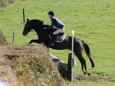 Equestrian centre based in Watergrasshill, Cork. Specialises in sport horse and riders, covering showjumping, hunter trialing, hunting, training and trekking.