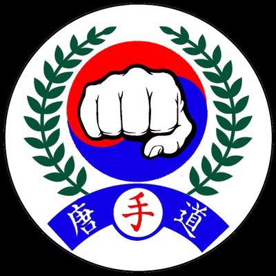 American Tang Soo Do, Jiu-Jitsu and Okinawan Kobudo 🇺🇸 🇲🇽 🇪🇸 🇮🇹 🇰🇷 🇯🇵