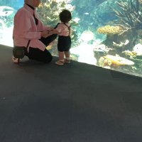 حوراء هـ الشماع (@hhalshammaa) 's Twitter Profile